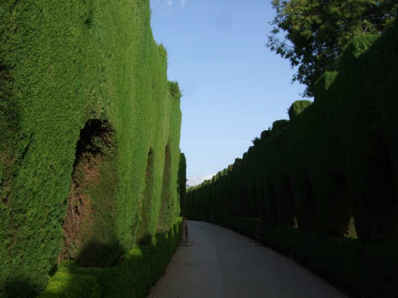 Anadalusien 2009 - 0997 